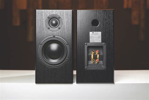 totem bison tower review|Totem Acoustic Bison Monitor Loudspeaker .